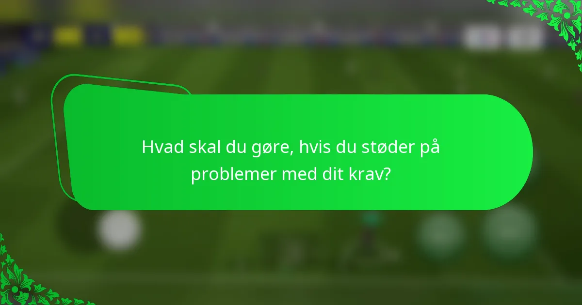Hvad skal du gøre, hvis du støder på problemer med dit krav?